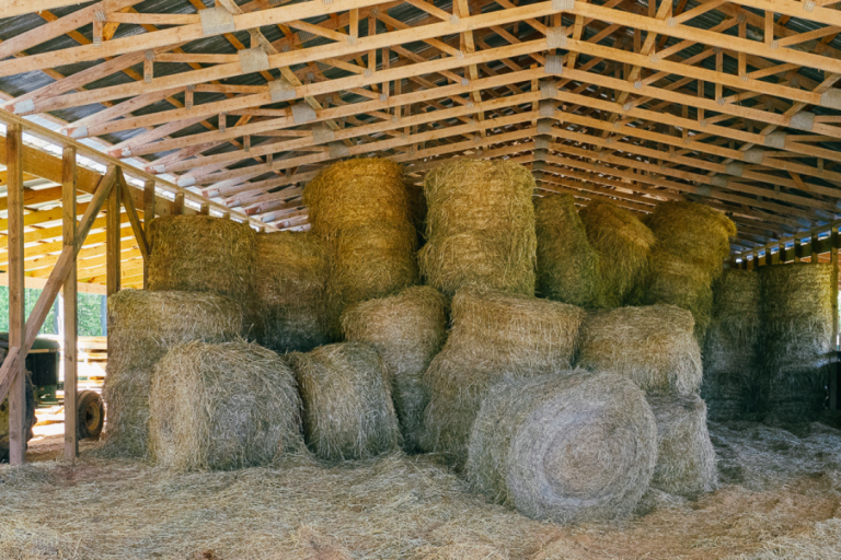 hay in a barn